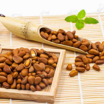 china origin appropriate prices specification pine nuts